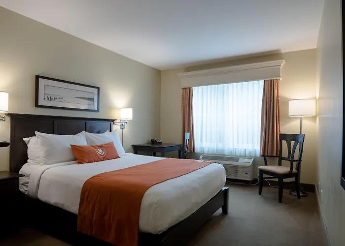 Amsterdam Inn & Suites Sussex