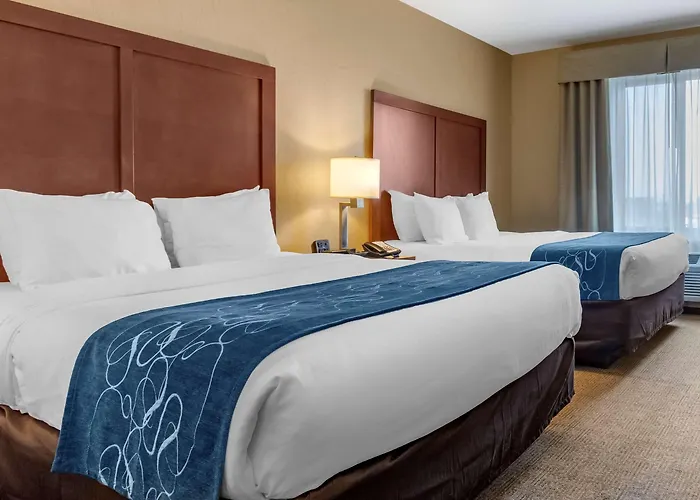 Comfort Suites Airport-University