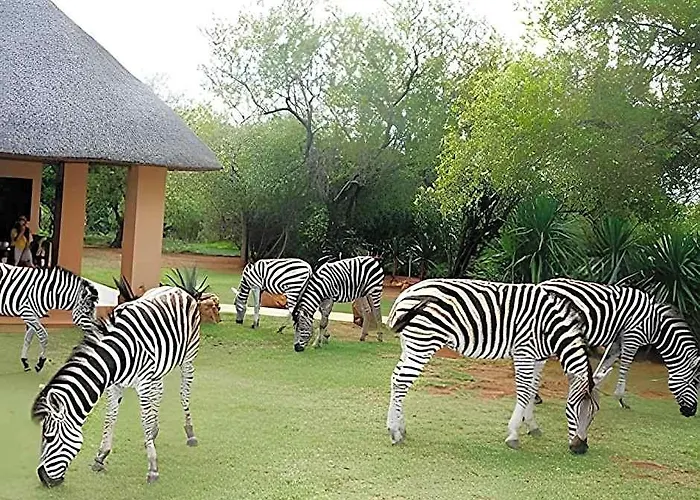 Royal Kruger Lodge And Spa 4