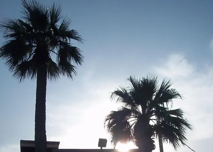 Whispering Palms Inn
