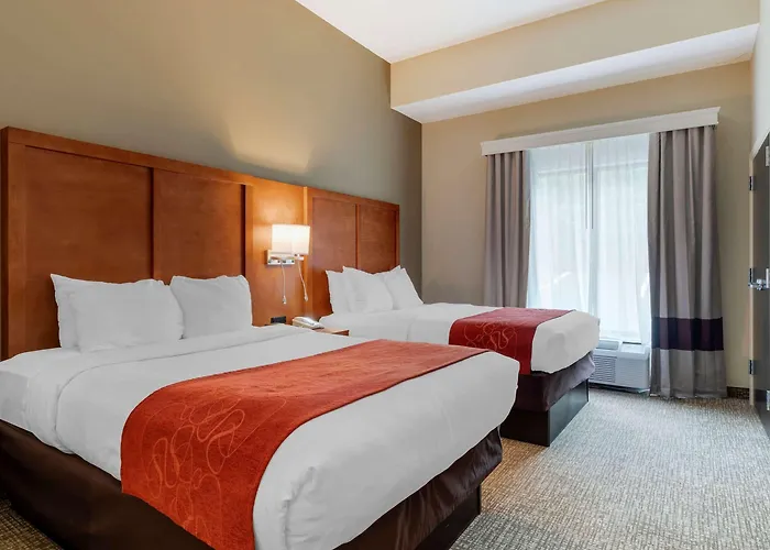 Comfort Suites Kingsport South