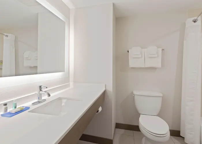 Holiday Inn Express Hotel & Suites Largo-Clearwater By Ihg