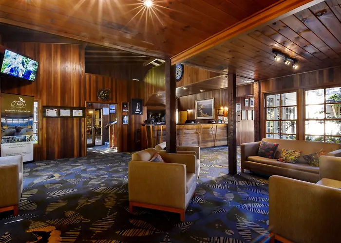 O'Reilly'S Rainforest Retreat