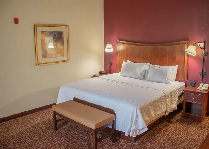 Hampton Inn Murphy