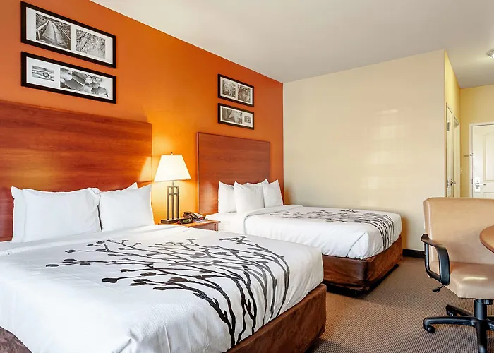 Sleep Inn & Suites Tyler South