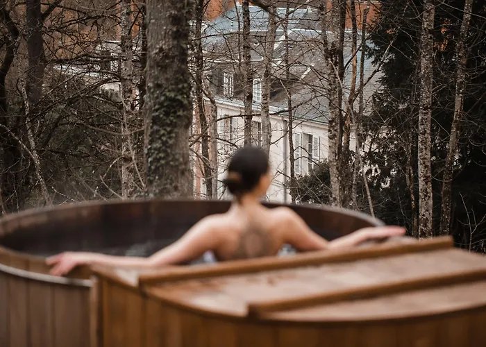 Hotel & Spa Du Domaine Des Thomeaux, The Originals Relais