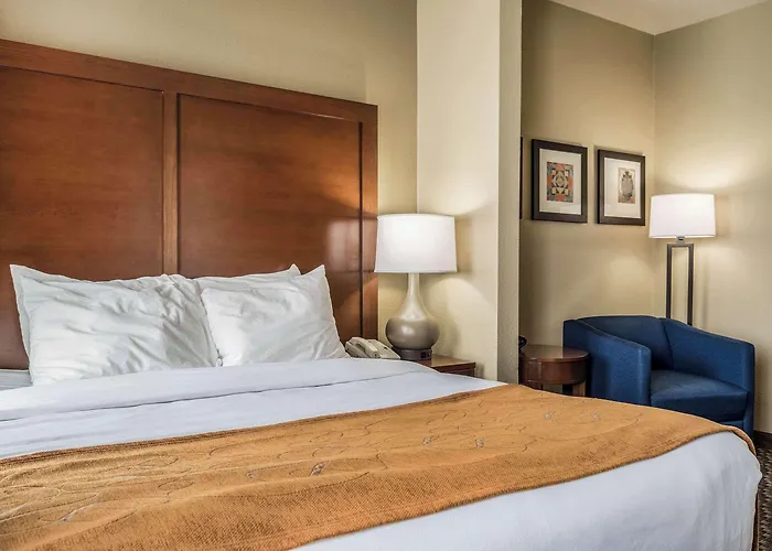 Comfort Suites Near Texas State University