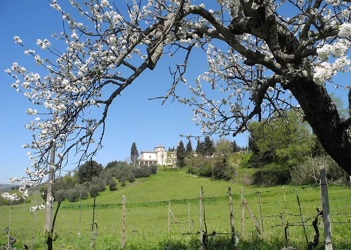 Hotel Le Renaie