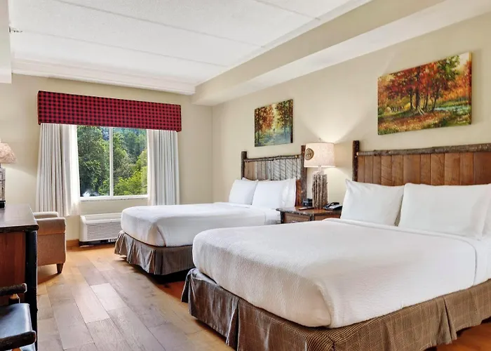 The Appy Lodge