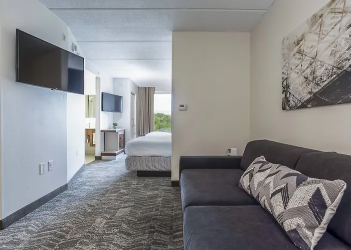 Springhill Suites By Marriott Austin The Domain Area