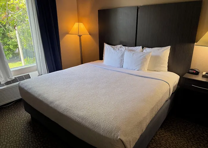 Comfort Inn & Suites Bradenton North I-75