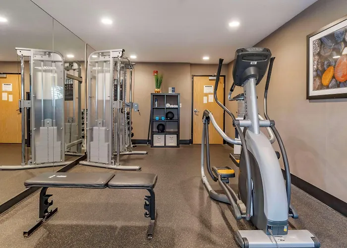 Best Western Plus Vineyard Inn