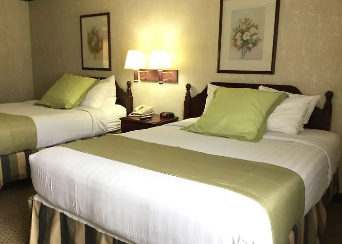 Americas Best Value Inn And Suites Saint Charles