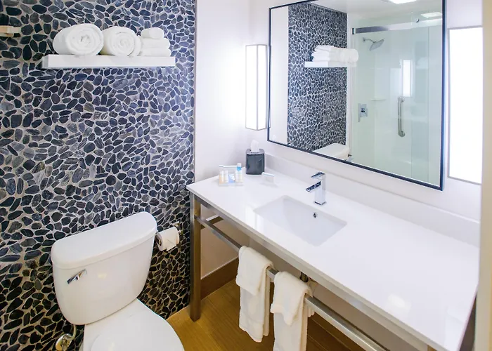 Hilton Garden Inn Rochester Downtown