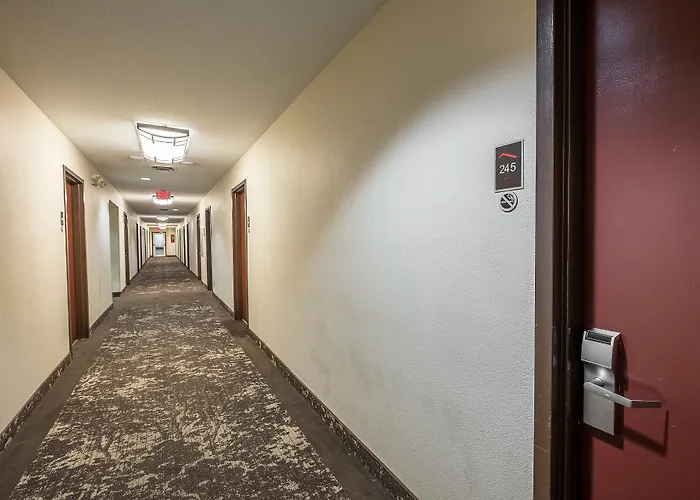 Red Roof Inn Toledo - Maumee