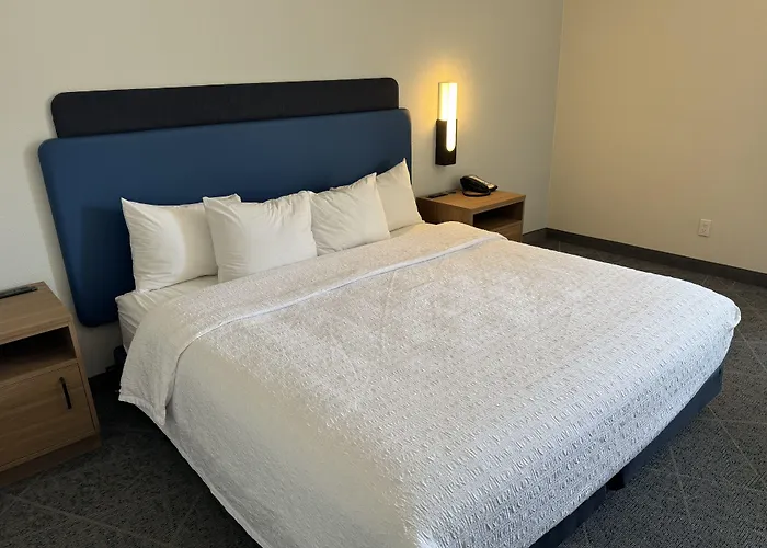 Hampton Inn Mansfield/Ontario