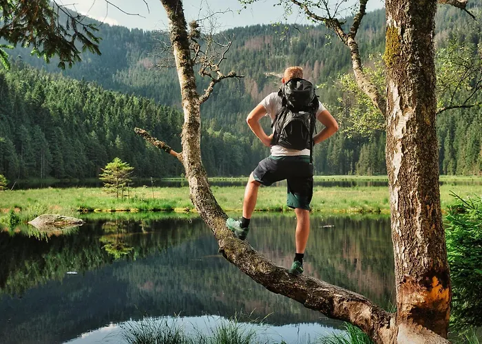 Berghotel Mooshuette Am Arber, Naturidyll Auf 950M, Wandern Direkt Ab Hoteltuer