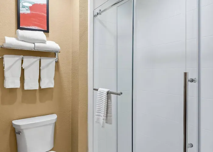 Comfort Suites San Antonio Seaworld - Lackland Afb