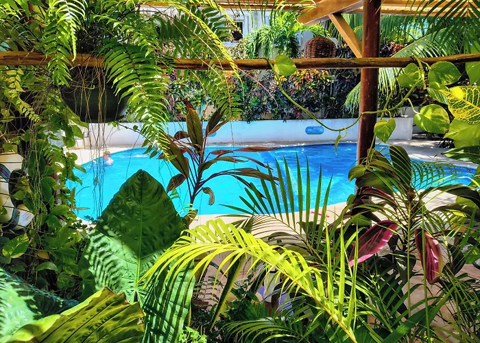 Hotel & Suites Oasis Bacalar