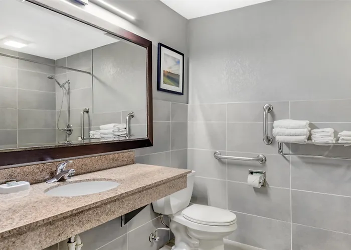 Best Western Rochester Hotel Mayo Clinic Area/ St. Mary'S