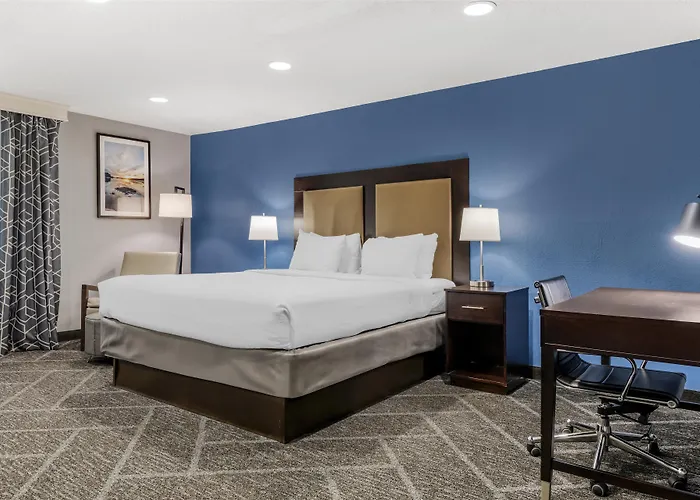 Best Western Rochester Hotel Mayo Clinic Area/ St. Mary'S