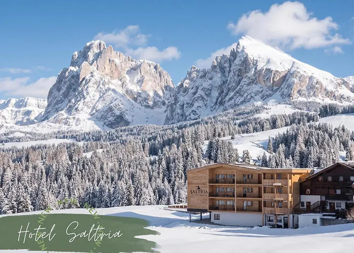 Saltria - Your Alpine Experience