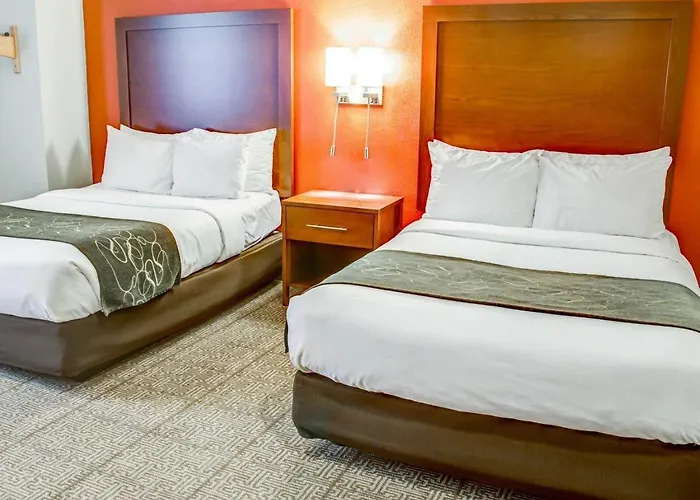 Comfort Suites Tyler South