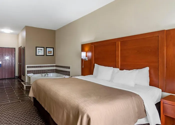 Comfort Inn & Suites Carbondale University Area