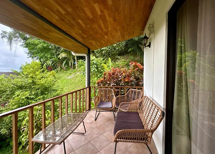 Hotel Planeta Sano