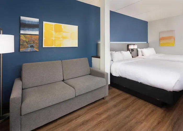 Comfort Suites Outlet Center