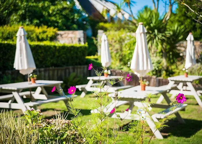 Fleur Du Jardin