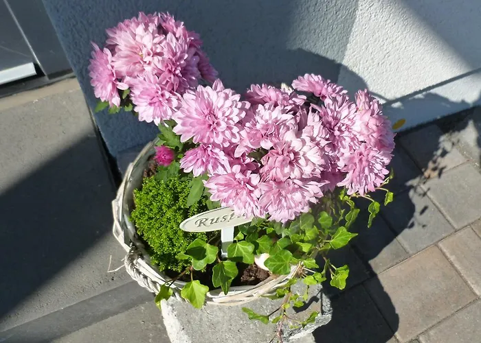 Pension Susanne