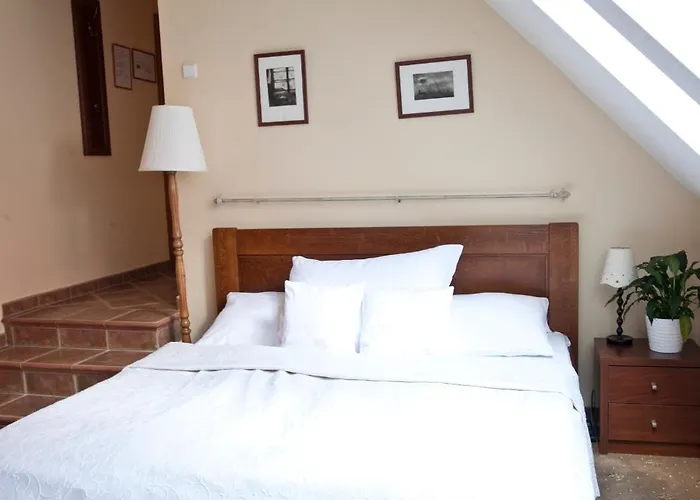 Hotel U Zlateho Lva