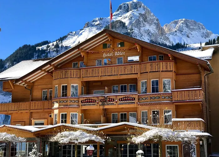 Chalet Hotel Adler AG