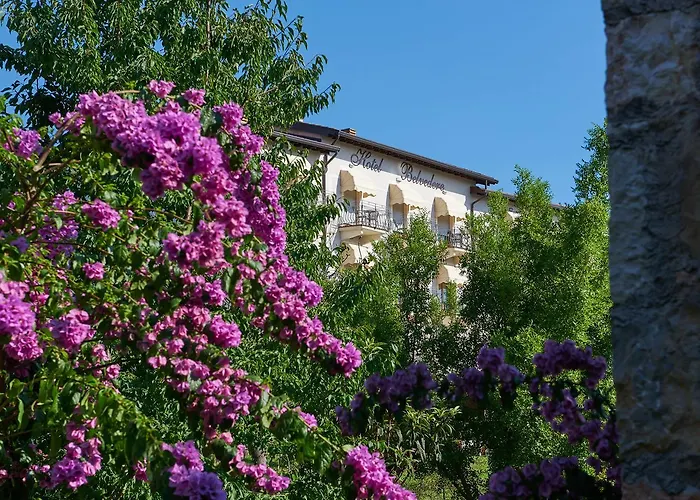 Hotel Belvedere