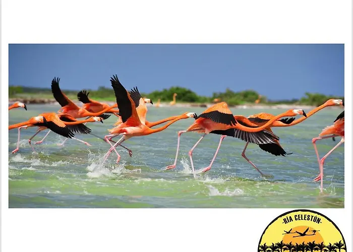 Cabanas Camping Ria Celestun
