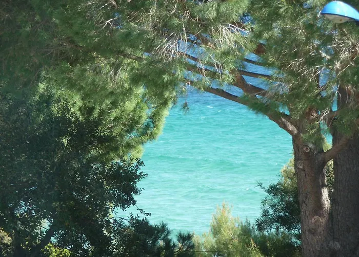 Hotel Les Eucalyptus