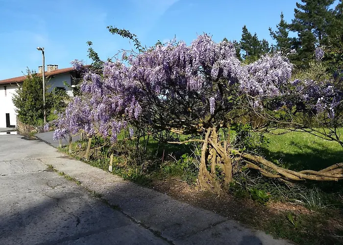 Casa Rural Miamendi