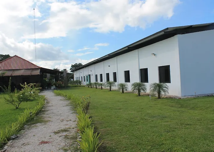 Real Primaveras Campestre