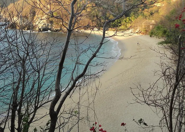 Casa Luna Playa