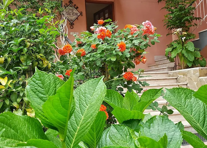 Delle Rose
