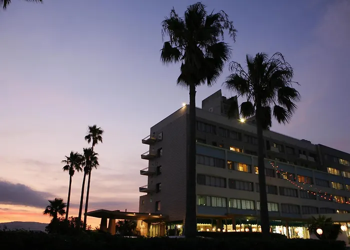 Ibusuki Seaside Hotel