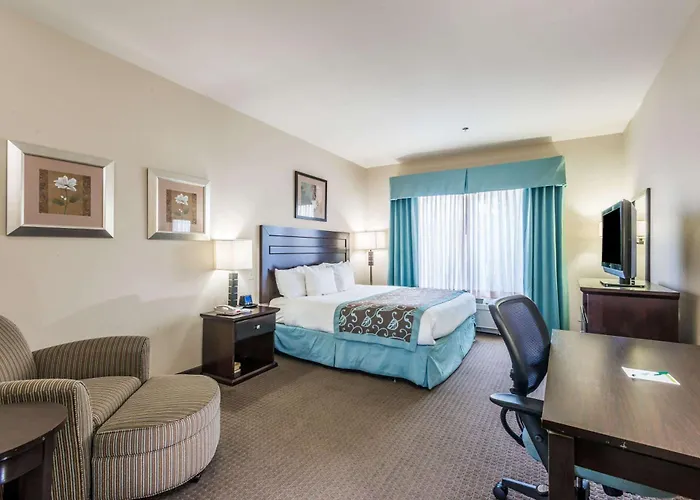 Wingate By Wyndham New Braunfels