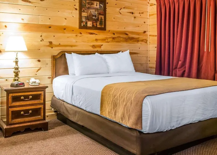 Econo Lodge Bayview