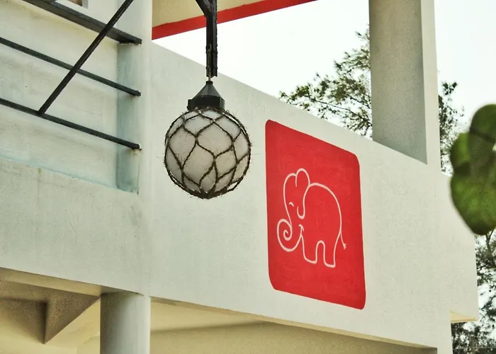 Petit Elephant