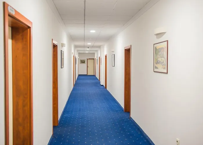 Hotel CITY