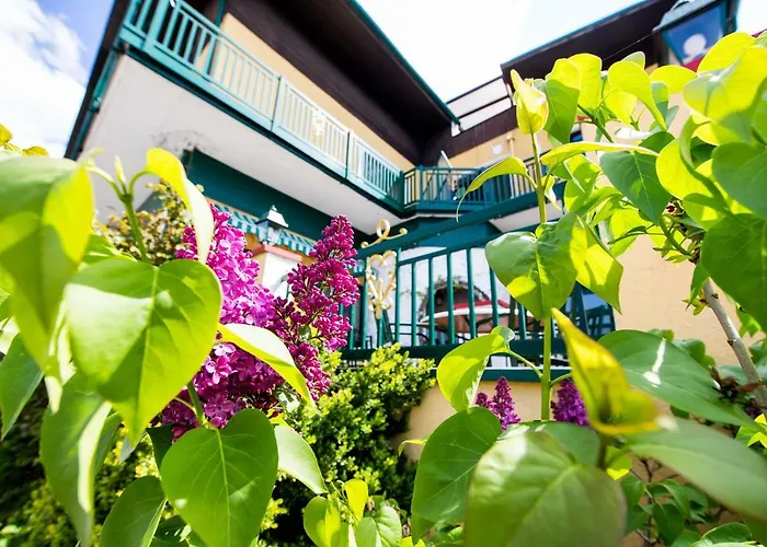 Landgasthof zur Goldenen Traube
