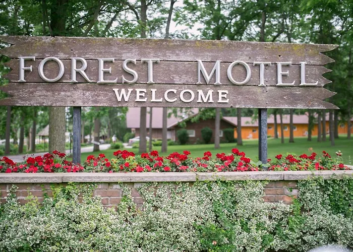 Forest Motel & Woodland Retreat Stratford