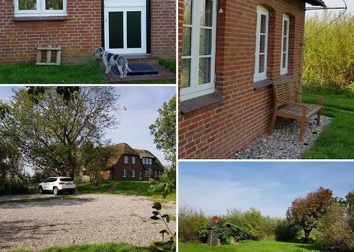 Tammwarftshof