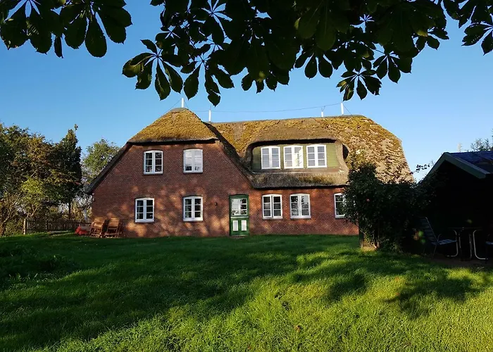 Tammwarftshof